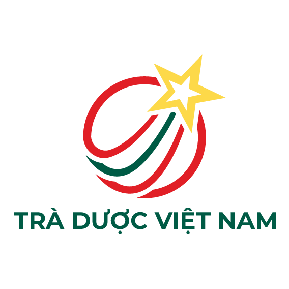 traduocvietnam.vn